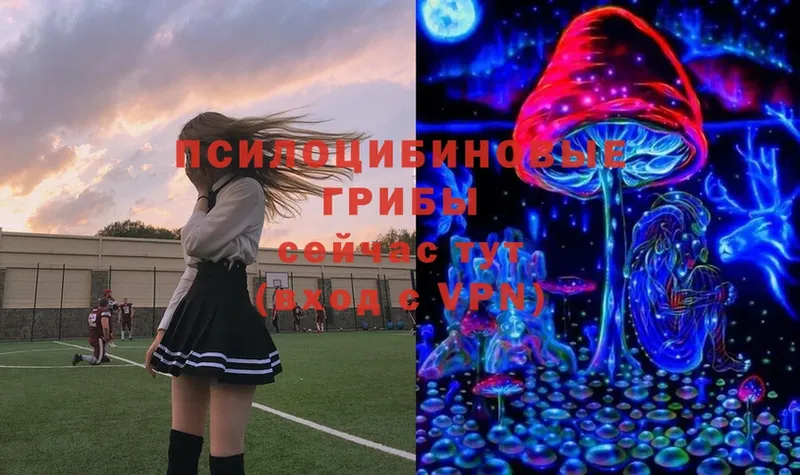 сколько стоит  Починок  Псилоцибиновые грибы Magic Shrooms 